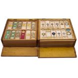 A collection of prepared microscope slides in two pine cases:, biological,