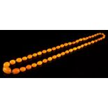 A graduated amber bead single-string necklace: comprising 49 individually knotted,