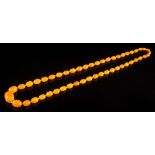 A graduated amber bead single-string necklace: comprising 49 individually knotted,