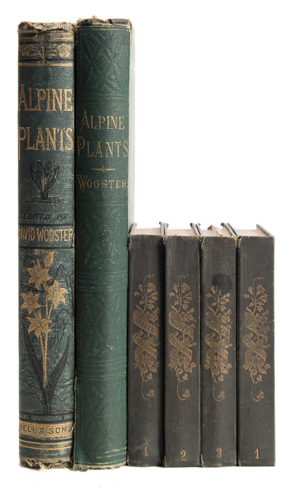 WOOSTER, David - Alpine Plants : 2 vols, chromo-lithograph plates, org.