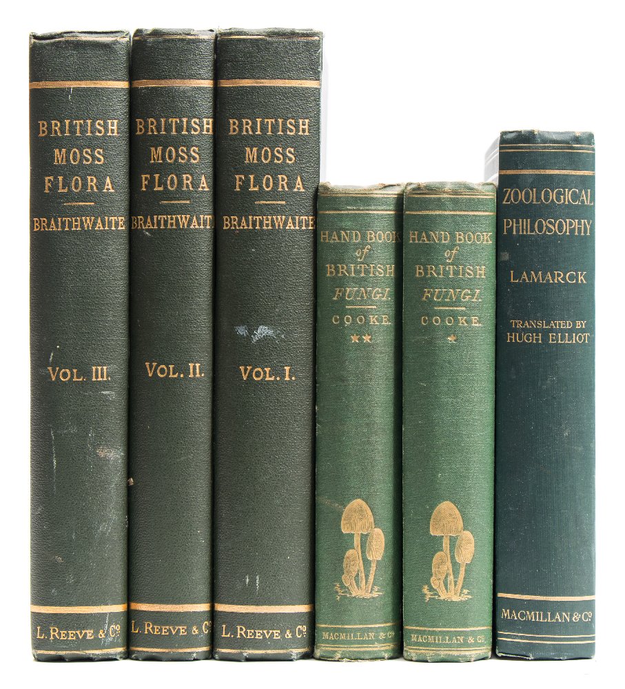 BRAITHWAITE, R - The British Moss-Flora : 3 vols, org.