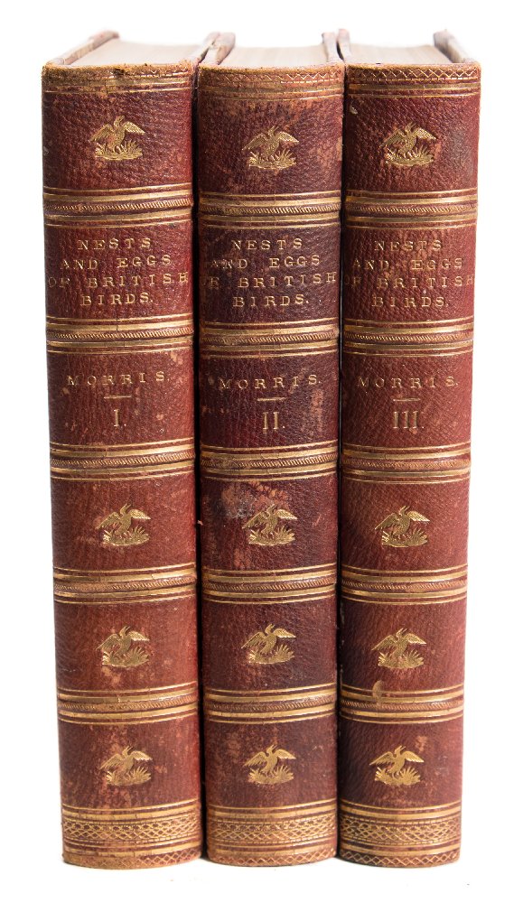 MORRIS, F.O - A Natural History of thee Nests and Eggs of British Birds : 3 vols, cont.