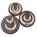 Three sets of warthog tusks,: mounted on circular plaques with pressed oak leaf mounts. (3).