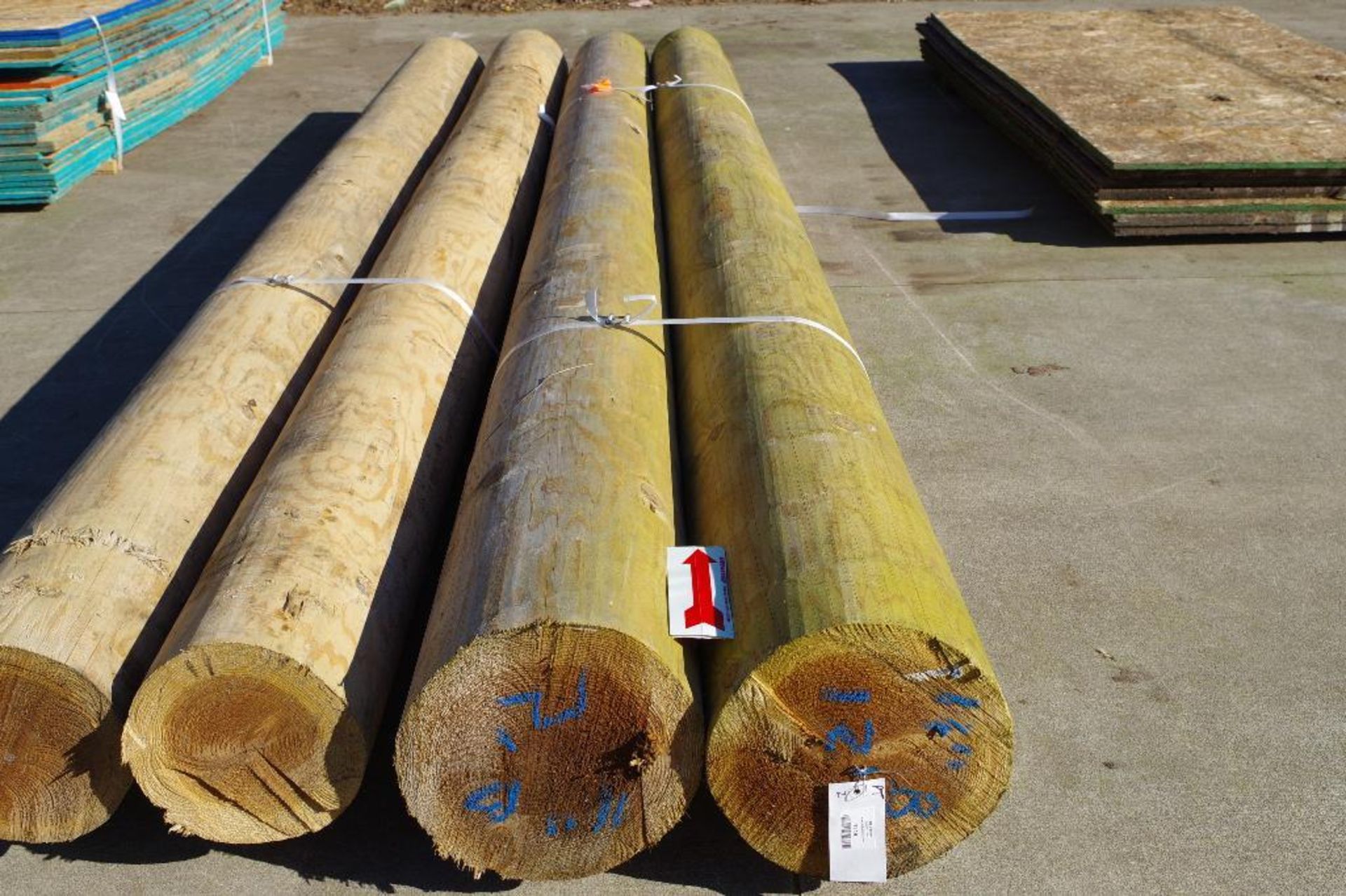 [2] Construction Logs, Approx. 11-1/2"D x 148"L