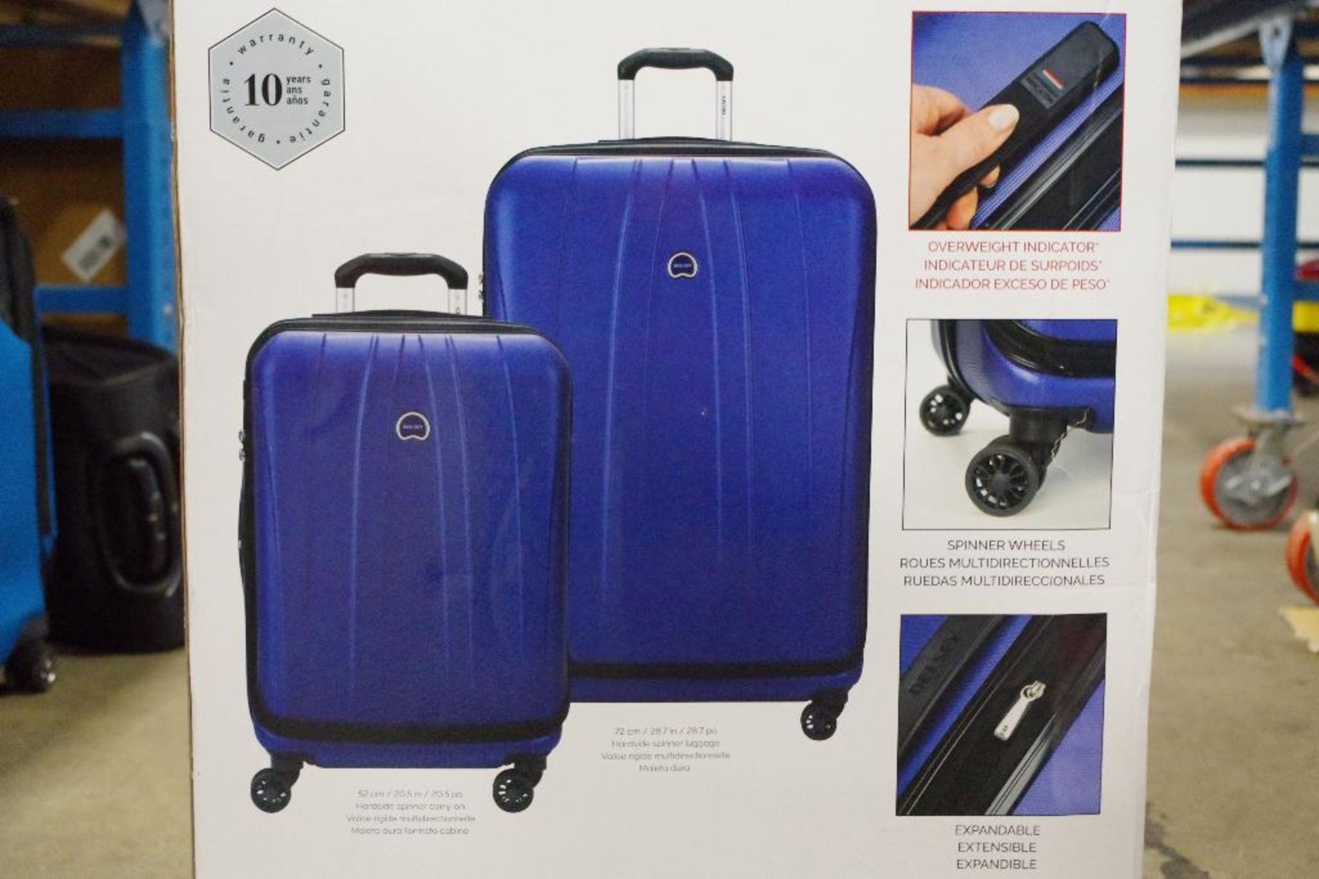 DELSEY 2-Piece Luggage Set