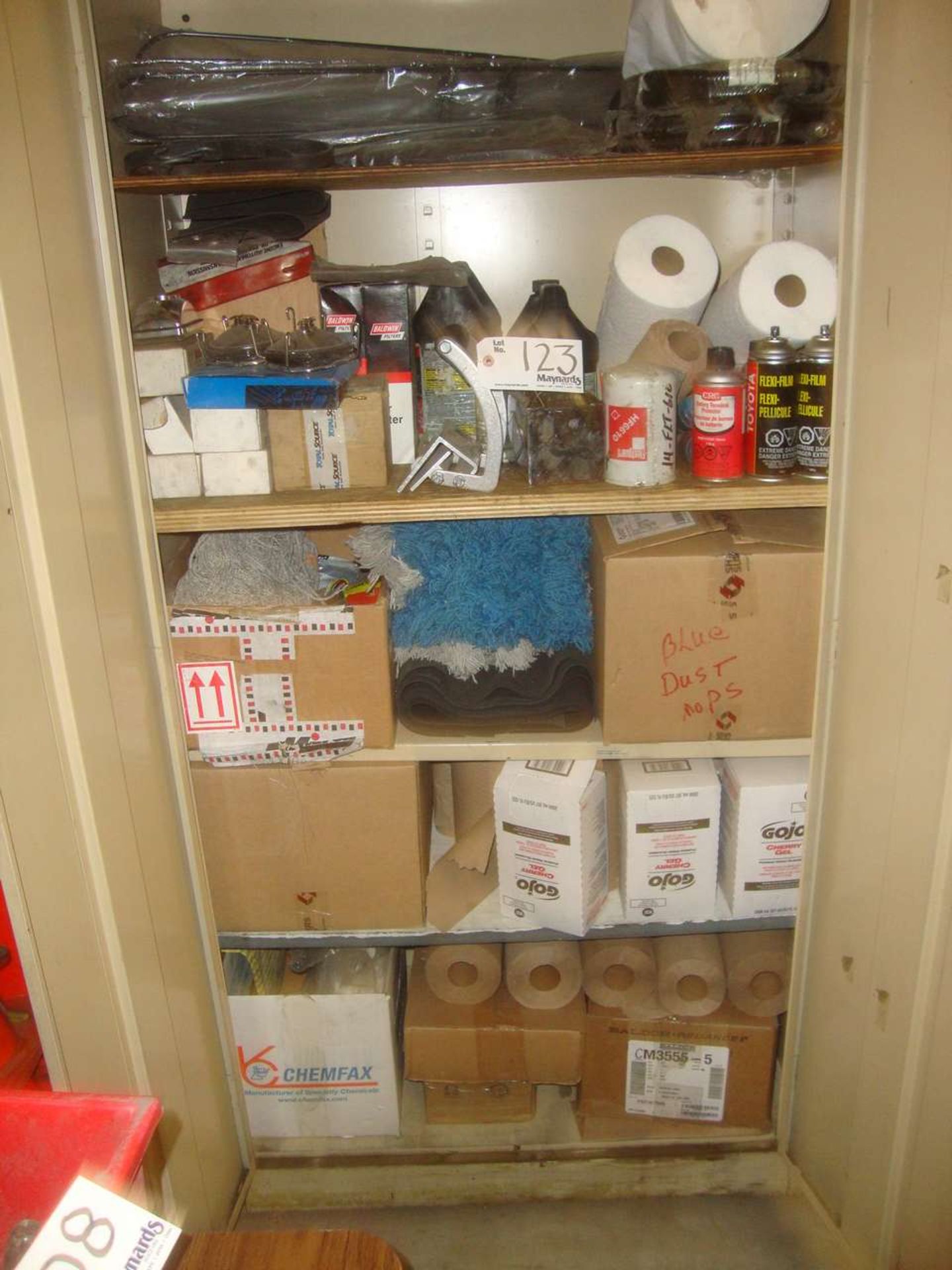 Cabinet w/ Misc Cleaning Supplies