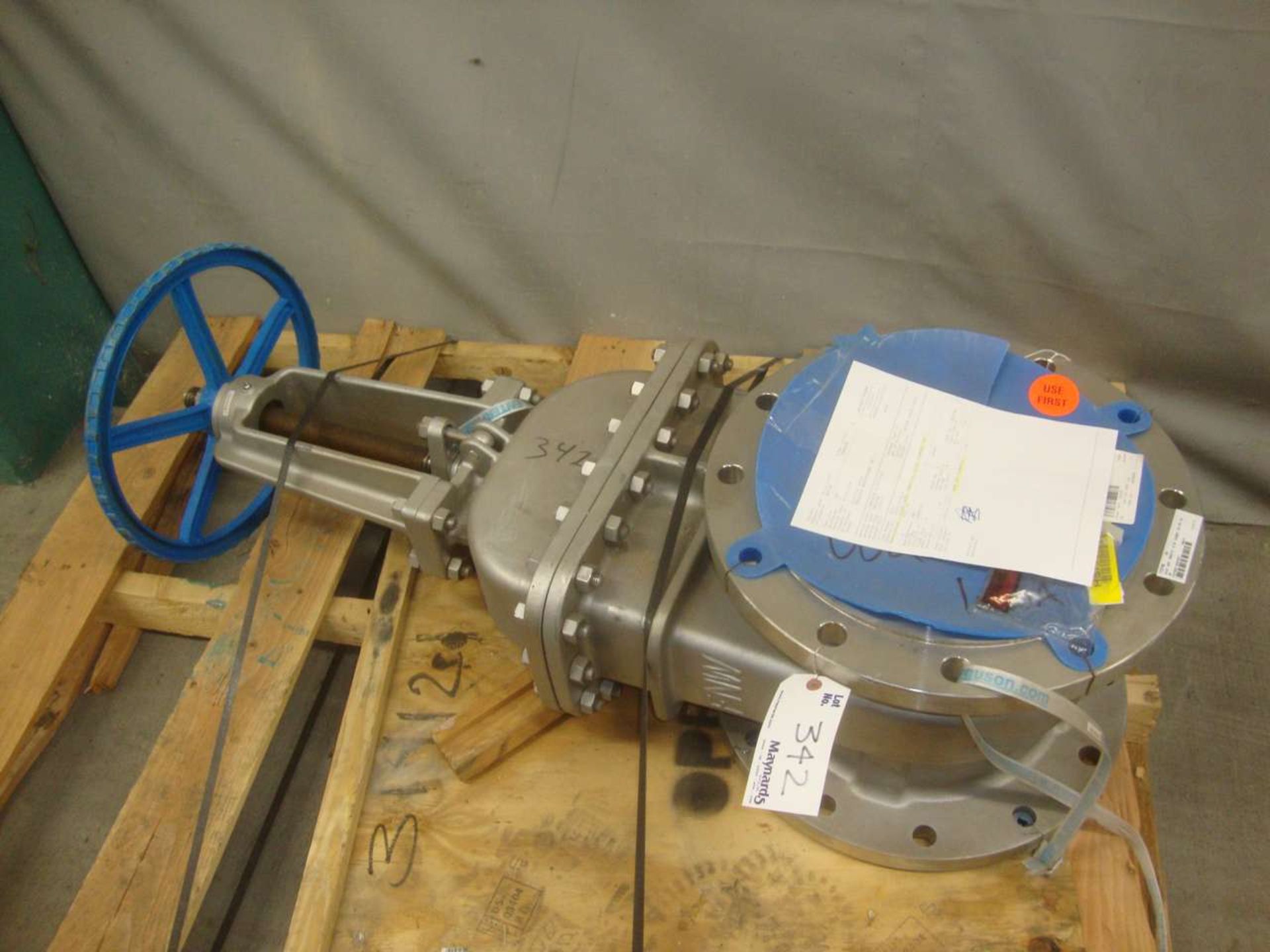 FNW FNW45112 12" Flange Gate Valve