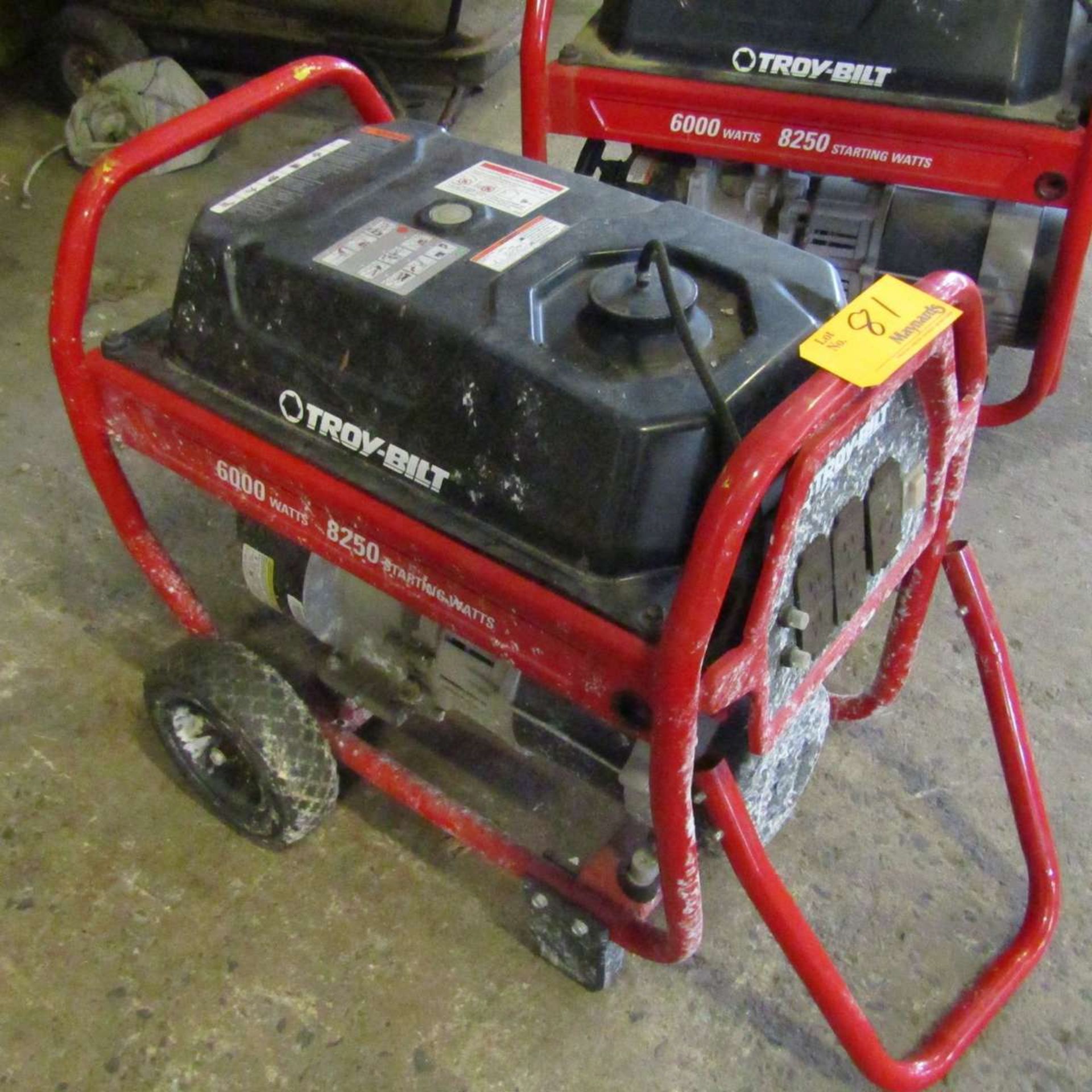 Troy-Bilt Generator