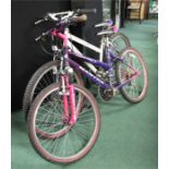 Ladies Tamika Fusion Pool and Cosmic Rain Mantra bikes in purple and white (2)