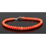 Coral bracelet, the red coral with a Silver Gilt clasp, 17cm long