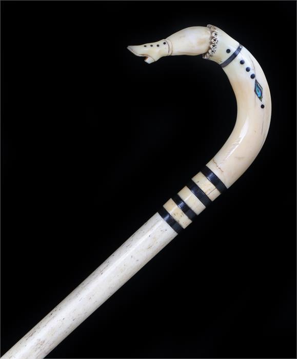 Fine and rare George III whalebone baleen and abalone shell walking stick, the arched top carved