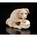 Japanese Edo period ivory netsuke, carved as a dog with a ball, 3cm high