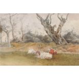 T Hodson, (British 19th Century) cattle resting in a field, signed and dated 1895, watercolour, 25cm