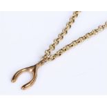 9 carat gold chain, with an attached horse shoe charm, total weight 4.9 grams