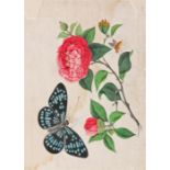 19th Century Chinese rice paper watercolour, as a butterfly and blooming flower, 20cm x 14cm