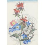 M N Sturrock, Bergamot & Cyananthus, signed watercolour, 25.5cm x 37cm