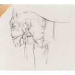 Attributed to Dame Elizabeth Frink (1930-1993) Pencil study of the head and shoulders of a horse,