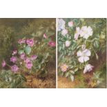 Marion Chase (1844-1905) A Pair, Still life of Dog Roses and Flowers, signed watercolours, 19cm x