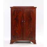 19th Century mahogany collectors cabinet, the rectangular top with a gallery above above a pair of