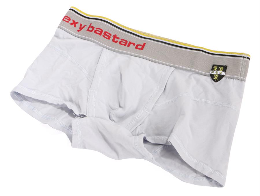 Ed Sheeran's underwear, the boxer shorts in grey with 'aka sexy bastard' to the elasticated strap.