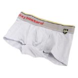 Ed Sheeran's underwear, the boxer shorts in grey with 'aka sexy bastard' to the elasticated strap.