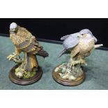 Country Artists hand painted resin figure of a sparrow hawk and a red kite (2)