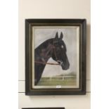 Early 20th Century British naïve school, portrait of a horse, 31cm wide