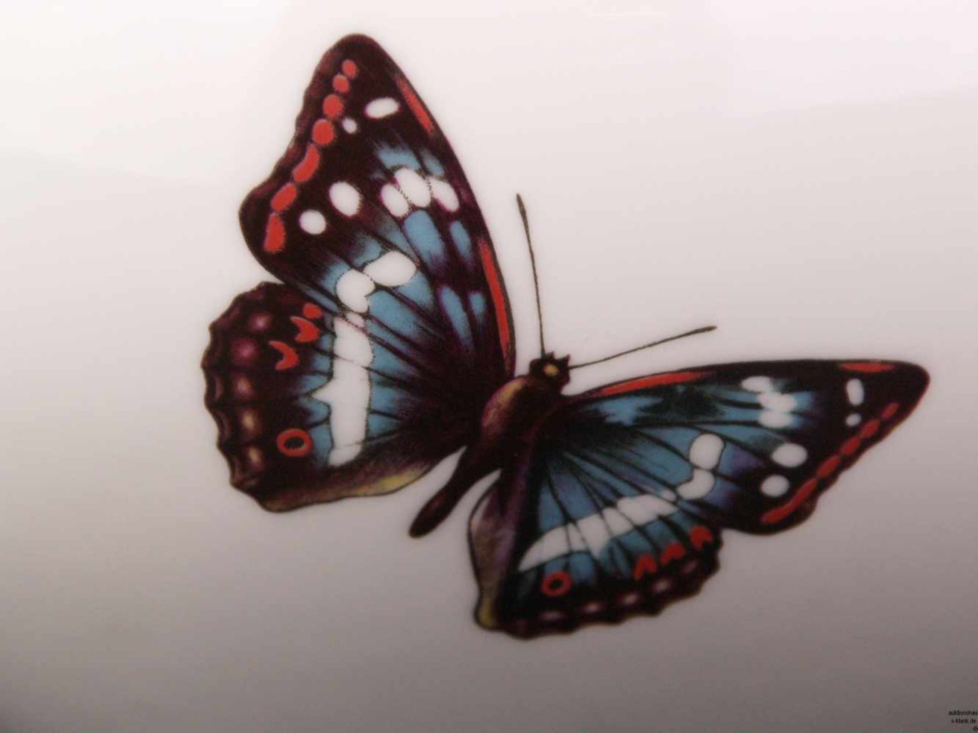 Vase - Hoechst, blaue Radmarke, bauchige Form "Olea", umlaufend polychromer Schmetterlingsdekor, - Bild 5 aus 6
