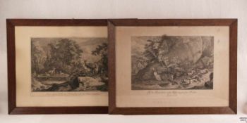 Ridinger, Joh. Elias (1698-1767 Augsburg) - Zwei Kupferstiche mit Tierdarstellungen, 1x "Anno 1736
