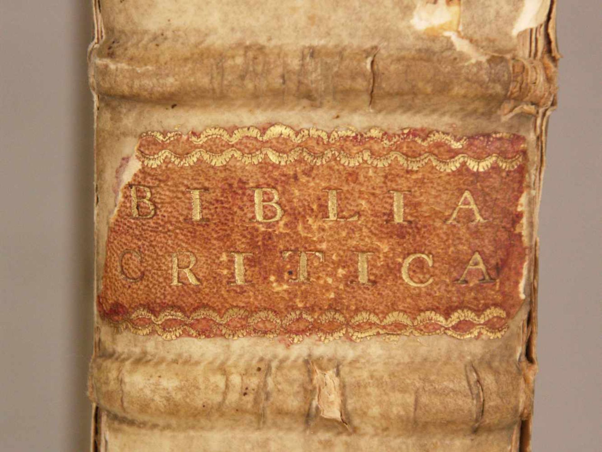Criticorum Sacrorum sive Annotatorum ad Libros Propheticos Veteris Testamenti, Tomus Quartus (IV. - Bild 2 aus 7