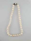 Barocke Perlenkette- Perlenkette von K. Uyeda, Tokyo, 36 cremefarbene Perlen in Einzelknotung (D.