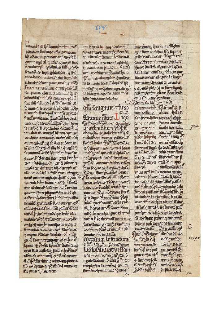 Leaf from a Glossed Bible