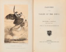 Ɵ Richard Francis Burton, Falconry in the Valley of the Indus