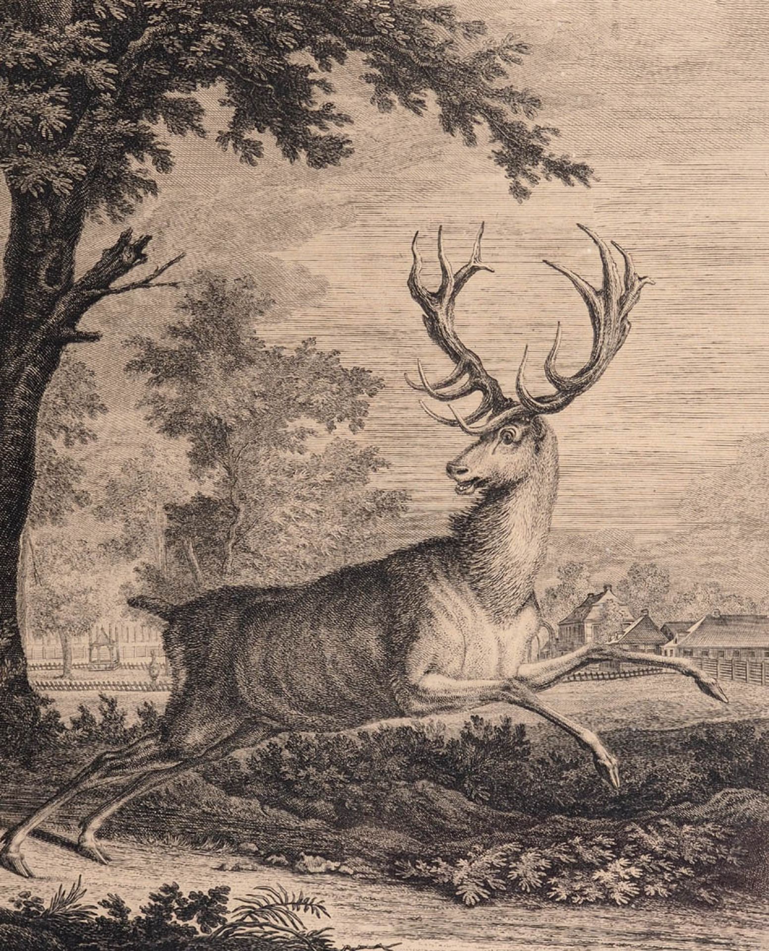 Ridinger, Martin Elias, 1730 - 1781 Prächtiger Hirsch in weiter Landschaft. Im Hintergrund ein - Bild 2 aus 2