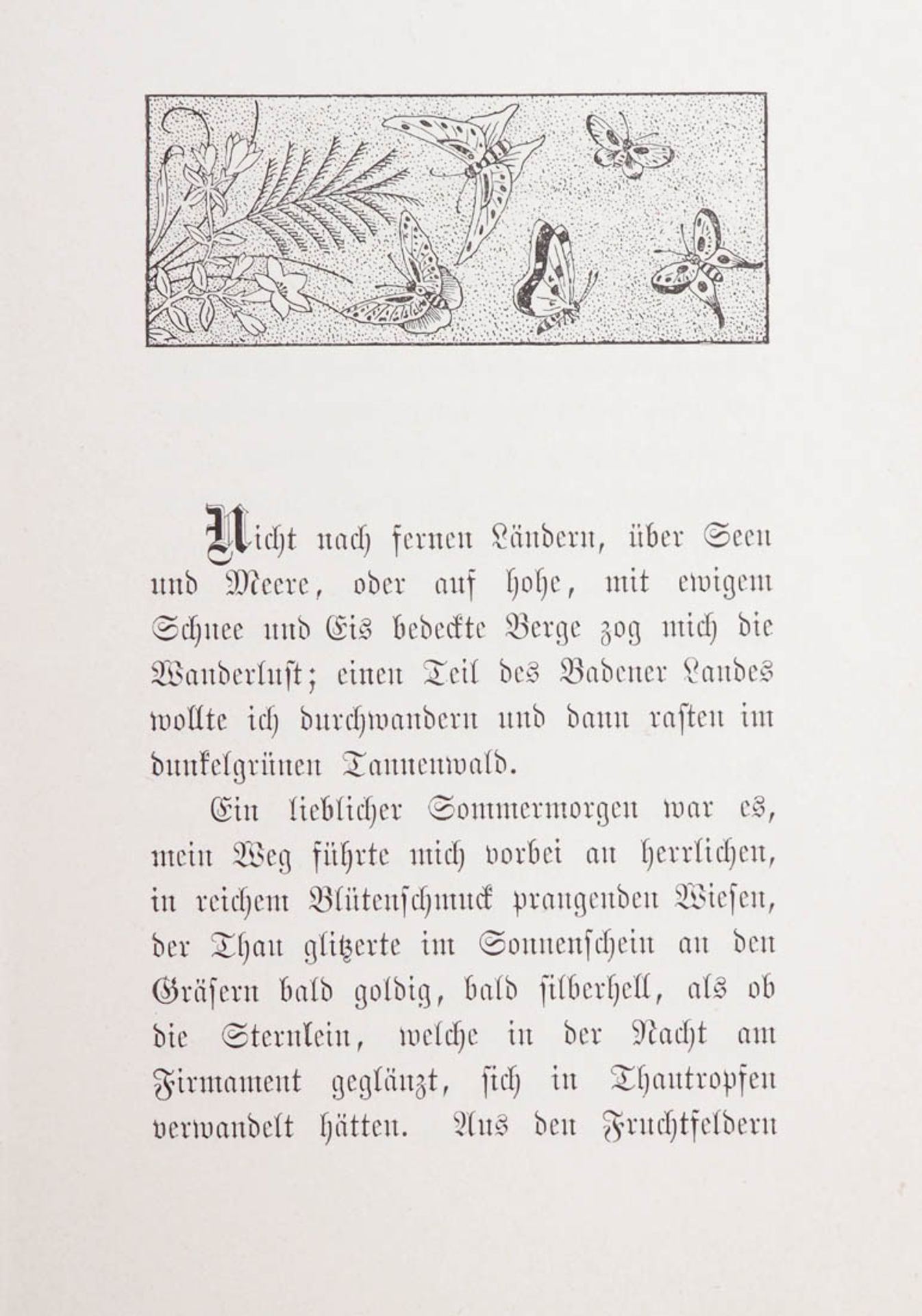 Schmidlin, Adolf,1868 - 1954 Zwei Kinder im Wald (Rötelzeichnung), dazu "Die zwerge der - Bild 5 aus 5