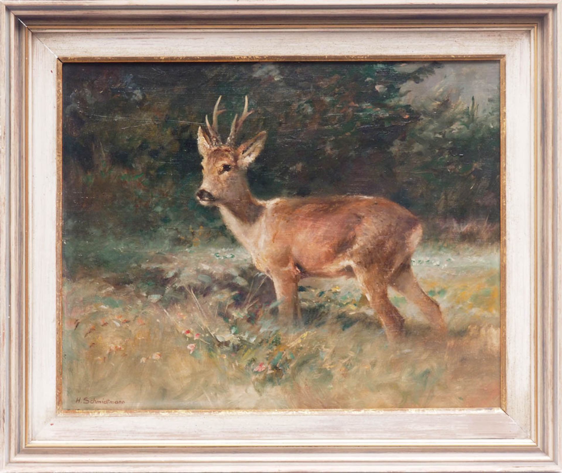 Schmidtmann, Hermann, 1869 -1936 Junger Rehbock in Waldlandschaft. Öl/Hartfaser, links unten