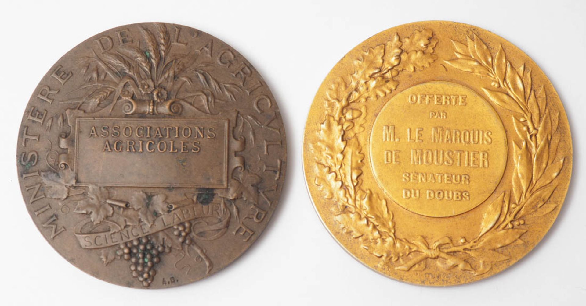 Dubois, Alphée, 1831 - 1905 Medaille, gestiftet vom Marquis de Moustier. Auf der Vorderseite - Bild 2 aus 3