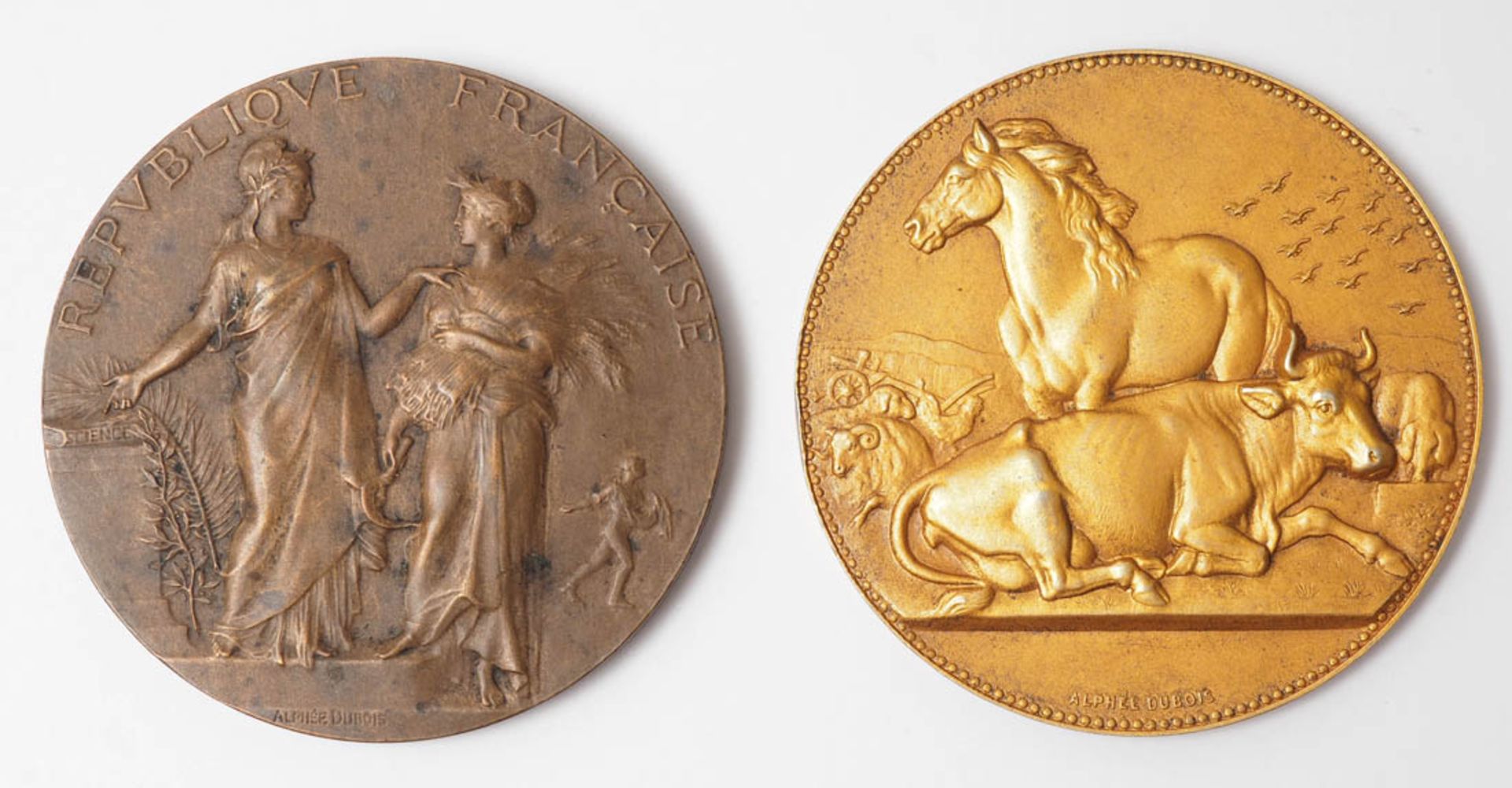 Dubois, Alphée, 1831 - 1905 Medaille, gestiftet vom Marquis de Moustier. Auf der Vorderseite