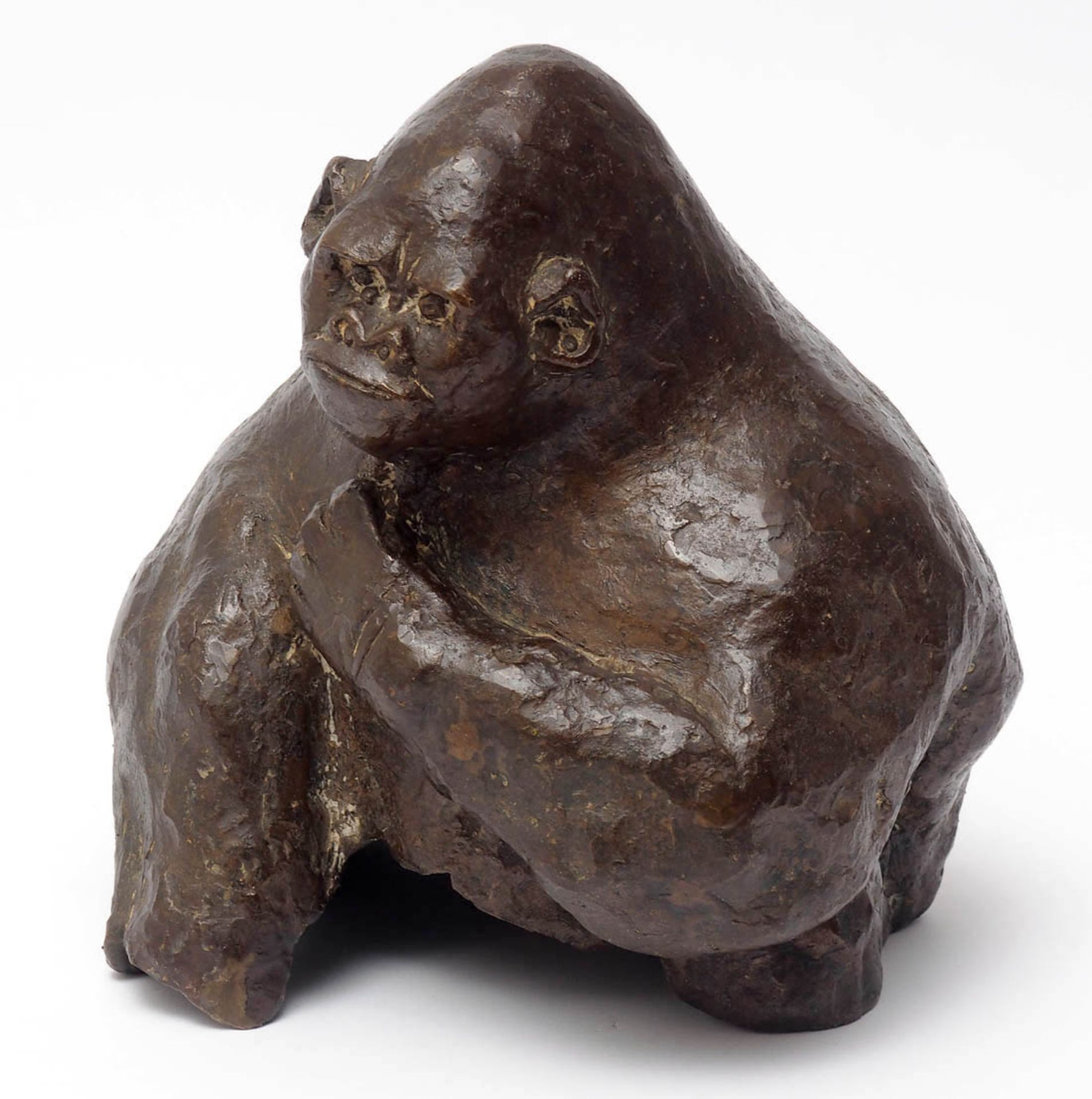 Tierbronze Büste eines Gorilla. Bronze, braun patiniert. H.21cm.