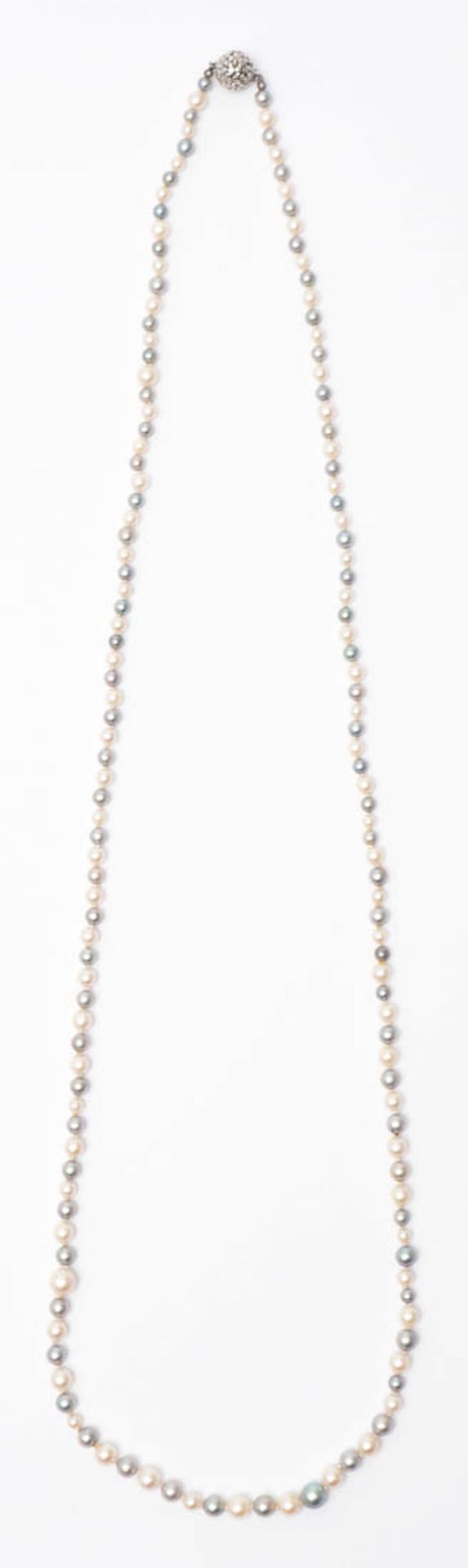Zuchtperlkette Graue und weiße Perlen von feinem Lüster (Durchm.3-4mm). Kugelförmiges - Image 2 of 2