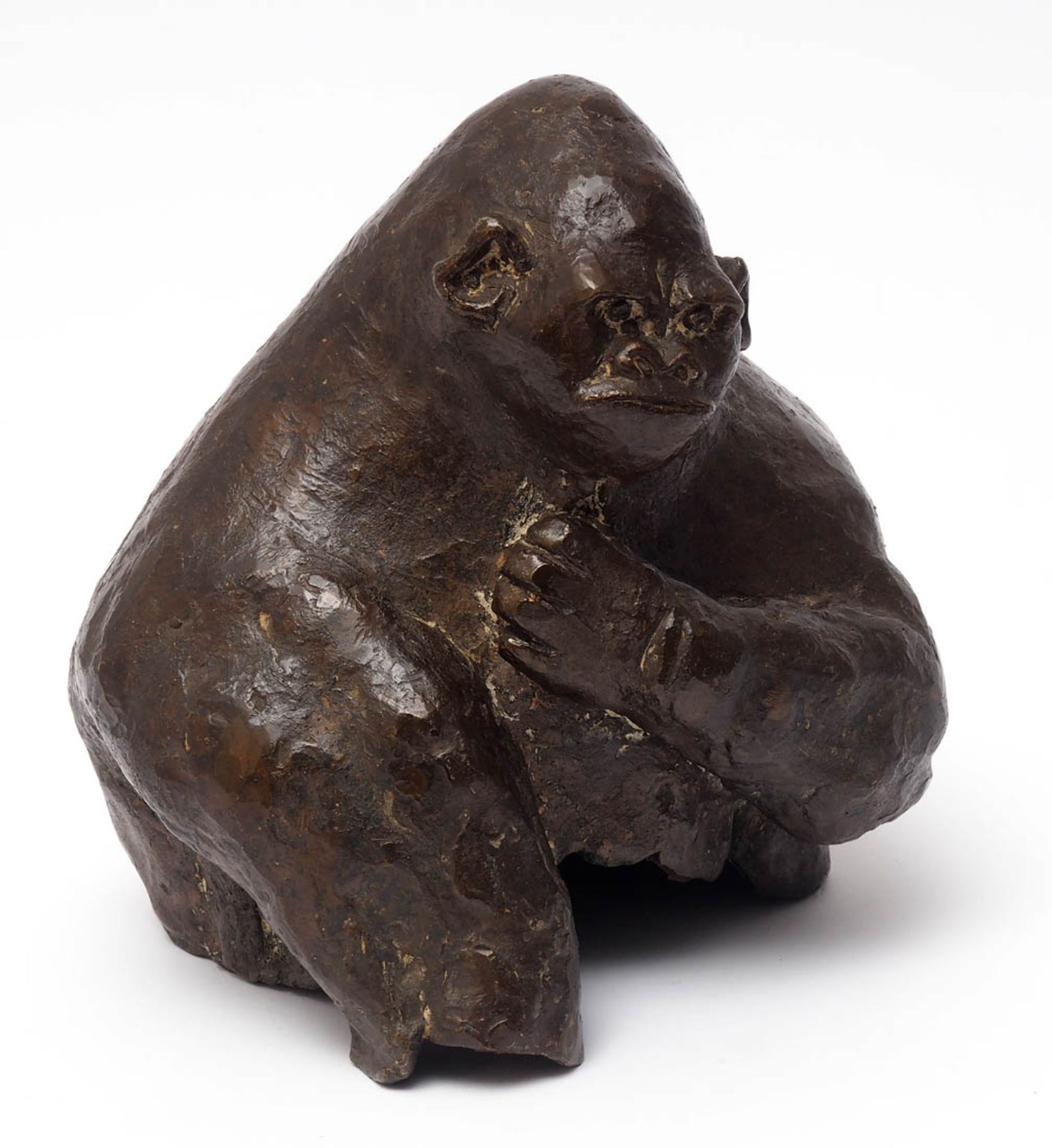Tierbronze Büste eines Gorilla. Bronze, braun patiniert. H.21cm. - Image 2 of 5