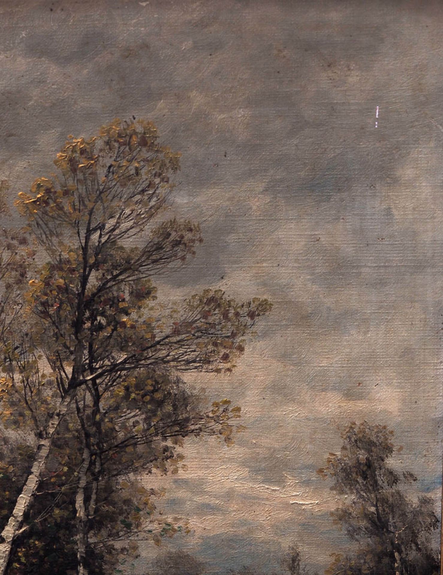 Sander, Johann (recte Jungbluth), 1860 - 1912 Birken am Ufer eines Weihers, im Vordergrund eine - Bild 3 aus 9
