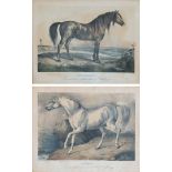 Twelve framed prints with horses