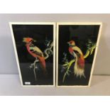 A Pair of old hand painted and bird feather bird pictures done in an oriental style. Measure 45x25cm