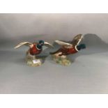 Beswick pheasant figurine flying upwards '849' together with Beswick pheasant figurine settling '850