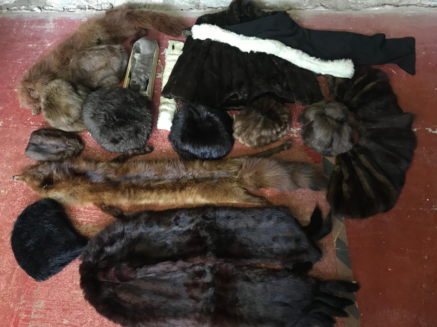 A Large lot of minx furs which includes fox shawl, hats and coat etc