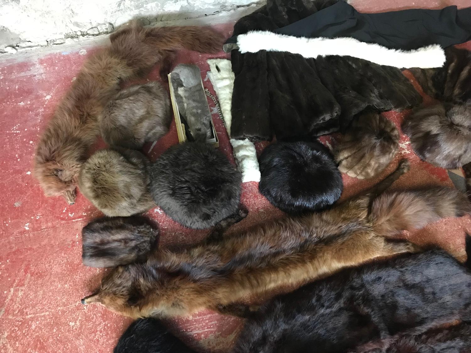 A Large lot of minx furs which includes fox shawl, hats and coat etc - Image 2 of 2