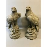 A Pair of heavy garden eagle figures, right and left facing, Stand 60cm in height.