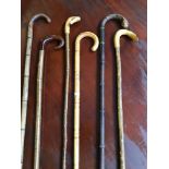 A Lot of various sized and shaped walking sticks which includes 2 duck head handled sticks.