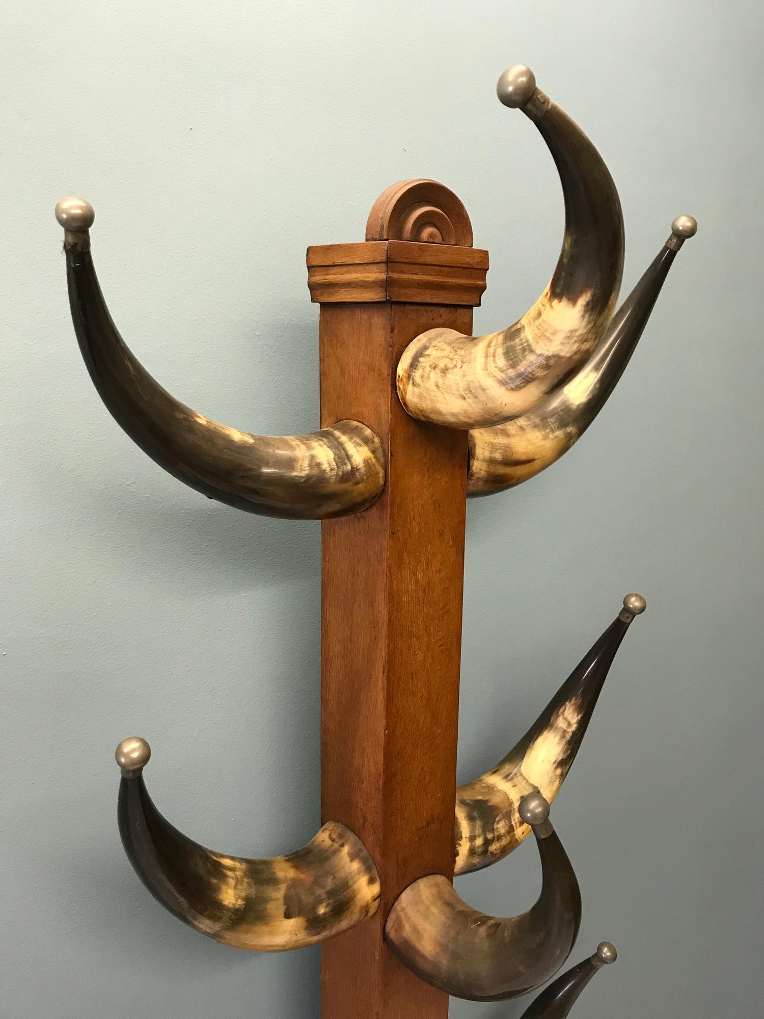 Victorian bull horn hat/ coat stand. The horns have pewter ball ends to the horn points. - Image 4 of 4